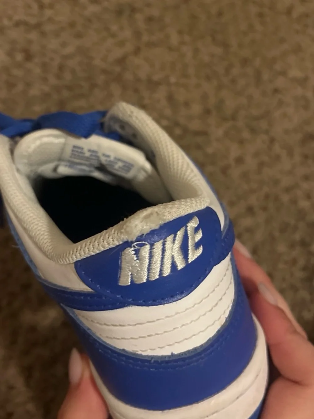 Nike Low Top Sneakers - White & Royal Blue